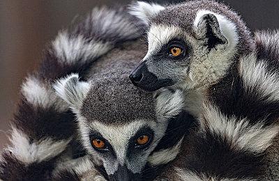 复古FPS《POST VOID》主机版推迟至9＆29发行