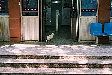 《马里奥赛车8 豪华版》通行证第6弹以及更新3.0上线 大量新内容