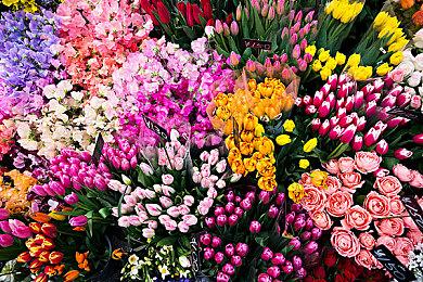 美国总统奥巴马玩《任天堂明星大乱斗》还挺厉害