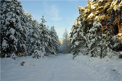 卡普空参展TGS 2023 线上发布会9月21日举行