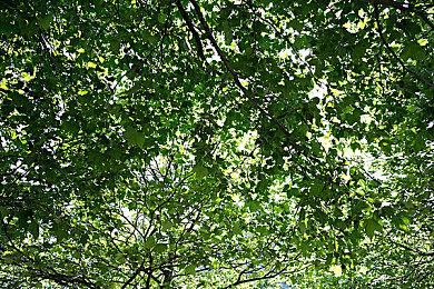 《黑帝斯2》玩家对如何解锁游戏的终局内容感到困惑